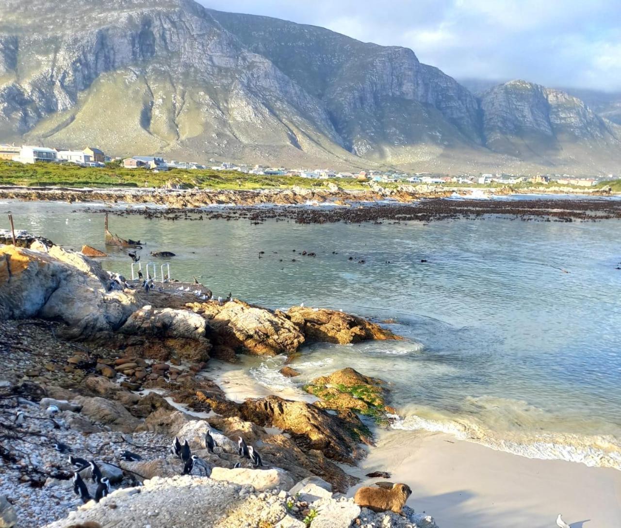 Nivenia Beach House Bettyʼs Bay Εξωτερικό φωτογραφία